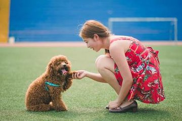 tp钱包官方正版下载