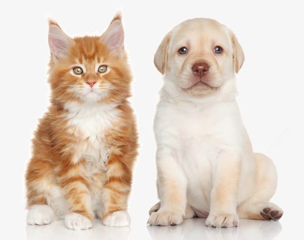 比特币钱包忘记了怎么找