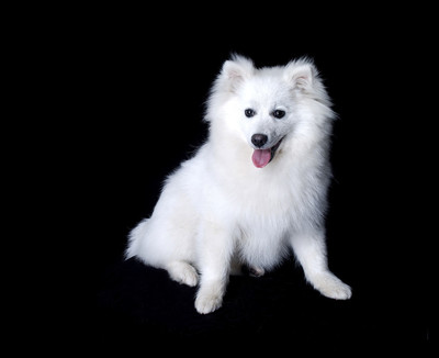 imToken官方版下载