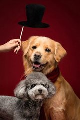 比特币钱包产品