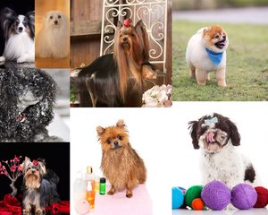 比特币钱包是哪个国家的钱